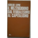 Aurelio Lepre, Il mezzogiorno dal feudalesimo al capitalismo