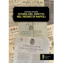 Gaetano Arcieri, Storia del diritto nel Regno di Napoli