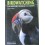 Birdwatching i 26 migliori itinerari in Europa