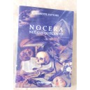 Giuseppe Fattore, Nocera nel cinquecento