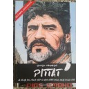 Riccardo Giammarino, Pittat'