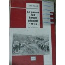 La guerra nell'Europa orientale 1915