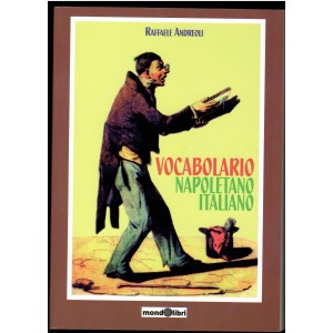 Raffaele Andreoli, Vocabolario napoletano italiano