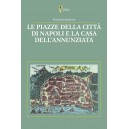  Le piazze della città di Napoli e la Casa dell'Annunziata