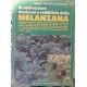 a coltivazione moderna e redditizia della melanzana